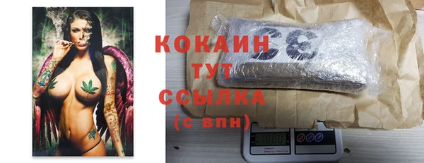 твердый Ладушкин