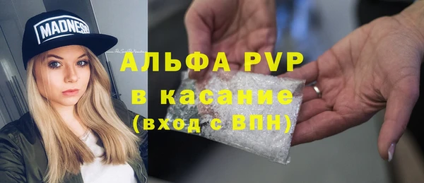 твердый Ладушкин