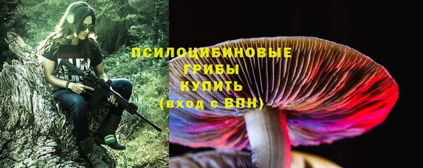 твердый Ладушкин