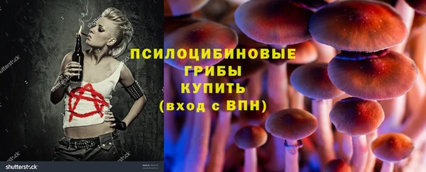 твердый Ладушкин