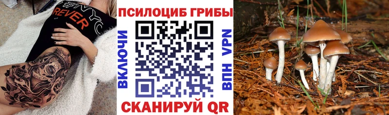 Псилоцибиновые грибы мицелий  Мончегорск 
