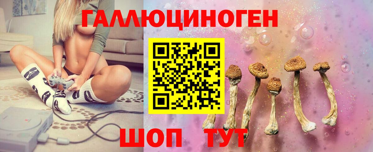 Псилоцибиновые грибы ЛСД Мончегорск