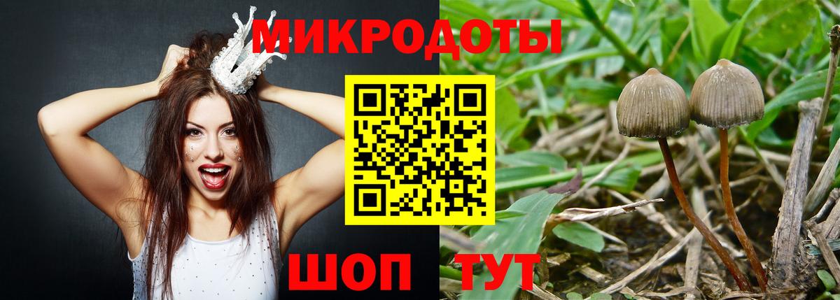 Галлюциногенные грибы MAGIC MUSHROOMS  Вход с VPN  дарнет шоп  Мончегорск 